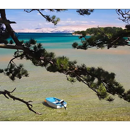 In Barbat/insel Rab 17654 アパート *